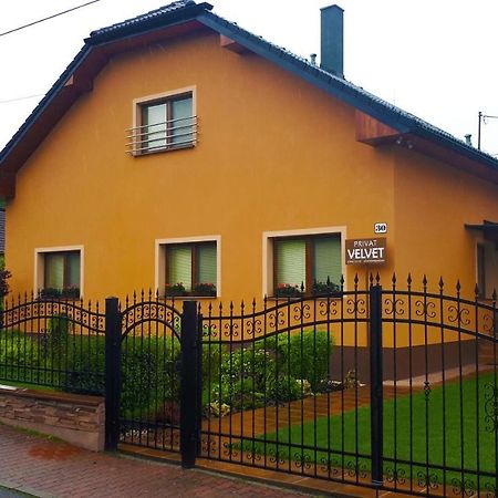 Affittacamere Privat Velvet Turčianske Teplice Esterno foto